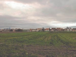 Logements sociaux: Chronique d&rsquo;un gâchis à 𝗖𝗮𝗿𝗿𝗶𝗲̀𝗿𝗲𝘀-𝗦𝘂𝗿-𝗦𝗲𝗶𝗻𝗲